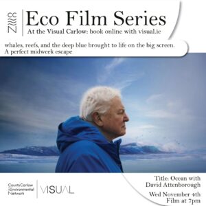 film 2 wed 4th nov 2026
